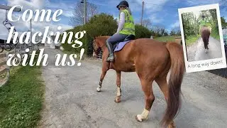 COME HACKING WITH US! / I finally rode a horse bigger than 15.2HH