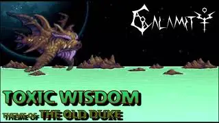 Toxic wisdom - terraria calamity 1 hour