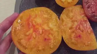 Вкуснющие томаты 
