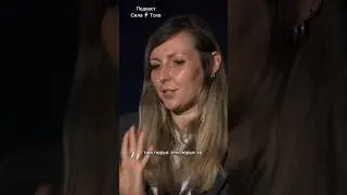 какого цвета были динозавры 🦖