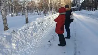 Кормили с рук синичек!