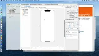 Swift Programming 2 - Unit 1 Debugging with Xcode - Spring 2024