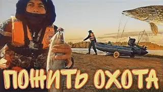 В поисках хищника. Весна