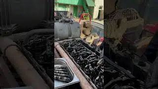 Ремонт форсунок MAN tgx tga