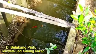 Unbelievable! So Many Snappers Behind the Door / Barramundi Fishing