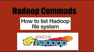Basic HDFS Commands : How to list Hadoop file system!! 
