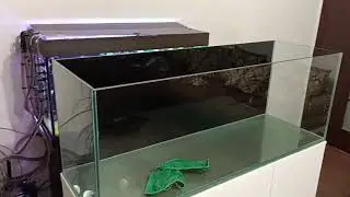 Привезли новый аквариум.