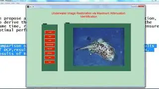 digital image processing mini projects using matlab