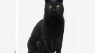 MASTER SIRIUS KOMPA