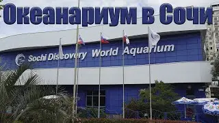 Океанариум в Адлере Sochi Discovery World Aquarium