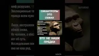 Синантропы это обман @JuStanTV