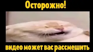 тук тук ыыыыыыы