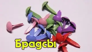 Посылочка с брадсами :)