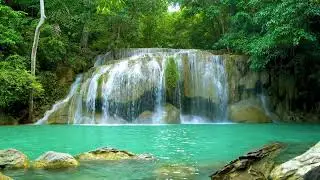 Deep Healing Music, Healing Your Nervous System, Instant Relief from Stress and Anxiety, Calm Nature