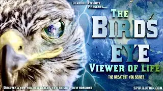 [Life Altering Music] ★The Bird's Eye Viewer of Life★