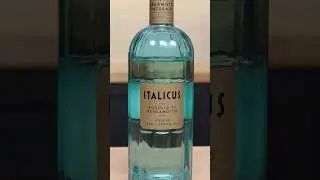 What is Italicus and how do you use it?