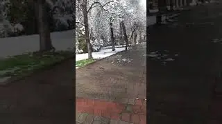 Бишкек дубовый парк 24.03.22 10:20