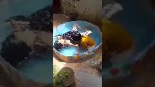 24 hours swimming pool challenge/swimming/summer/pool party