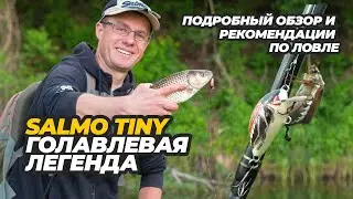 Salmo Tiny – голавлёвая легенда. Подробный обзор воблера и рекомендации по ловле