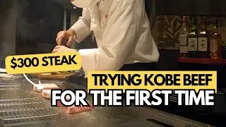 Trying Kobe Beef For the VERY FIRST TIME | Japan Travel Vlog