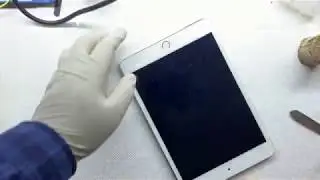 iPad mini 4 No backlight Fix • Full Video • iPad mini Backlight non funziona Riparato • 4K