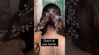 Beautiful Hairdo 