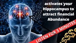 Billionaire brain oscillations in the Theta Delta range promote a mindset of success and wealth