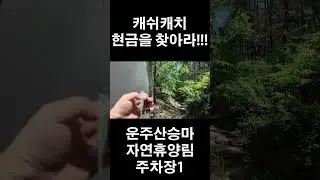 #현금이벤트 #캠핑카 #캠핑카여행 #스타모빌 #여행유튜브 #1만원 #영천 #영천 #운주산승마자연휴양림 #주차장1