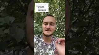 Водка из плаценты свиней