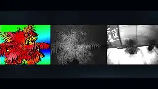 Structure SDK (Cross-Platform) Wave One Release