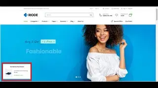 Riode WordPress (How to enable/disable sales pop up in Riode WordPress)