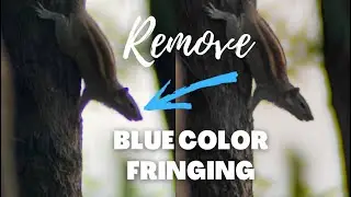 The Ultimate Guide on How to Remove Chromatic Aberration in Lightroom Mobile