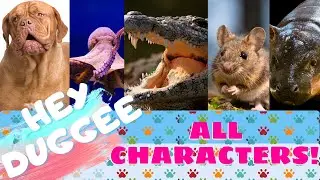 Hey Duggee Characters in REAL LIFE | All Squirrels | Woof! Woof!
