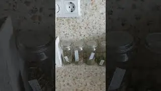 Хранение сушёных трав