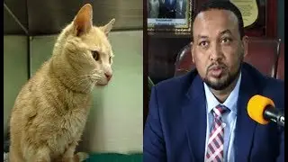 Fadeexo: Duqa Hargeysa oo u Gafey Shacabka Muqdisho