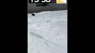 Gallery Live Wallpaper
