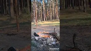 Костëрчик и маршмеллоу  🔥🔥🔥☺🌅 Время для души