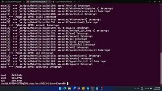 Install Microstack (OpenStack) under Windows 11 WSL2
