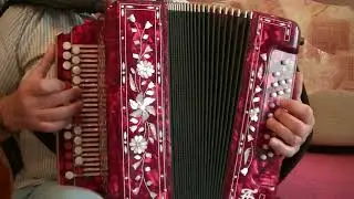 Галина на гармони.