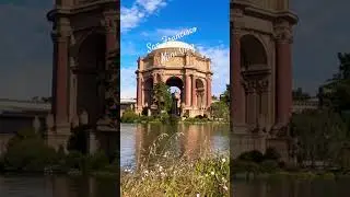 San Francisco mini vlog! #shorts #minivlog #travel
