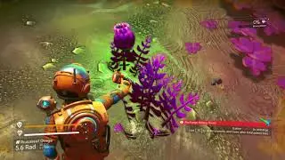 No Man's Sky - 01: Trippy aliens