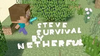 MINECRAFT STEVE SURVIVAL