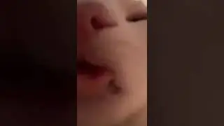 #пон