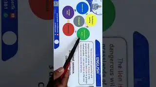 طريقة كتابة براجراف احترافي ومتميز. مستر ياسر الكيلاني.