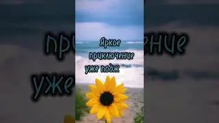 скорее Принимай послание Вселенной для тебя. Для энергообмена поставь ❤️ и подпишись ✅
