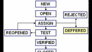 Bug Life Cycle - Quality Testing.flv