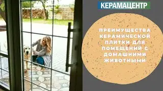 Преимущества керамической плитки для помещений (дома, квартиры) с домашними животными