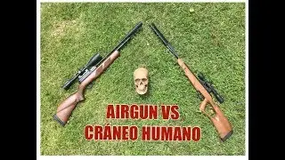 PUEDE UN RIFLE DE AIRE PENETRAR UN CRÁNE0?