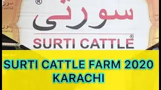 Ladla full video from Surti Cattle Farm Qurbani 2020 MASHAALLAH lajawab