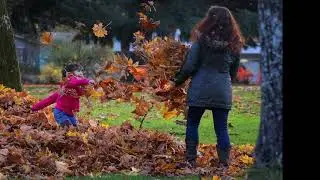 Autunno paesaggi